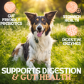 Load image into Gallery viewer, Supports digestion & gut health