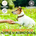Load image into Gallery viewer, Joint supporting for active & aging dogs