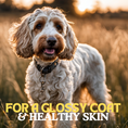 Load image into Gallery viewer, For a glossy coat & healthy skin