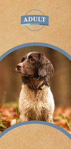Cocker Spaniel dog looking at textured background with adult dog food written within it