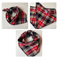 Load image into Gallery viewer, Judge's Choice Dog Bandana