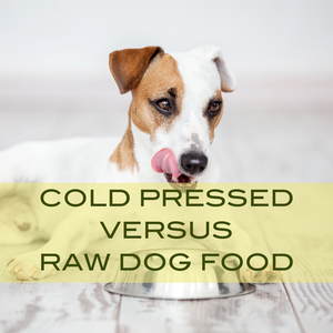 Cold Pressed versus Raw Dog Food