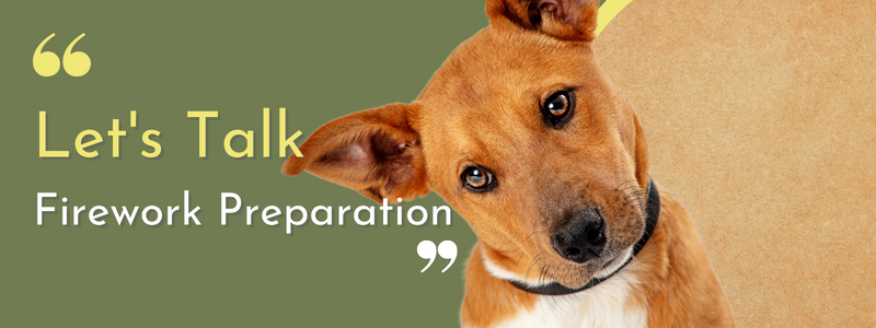 Preparation for Your Dog During the Fireworks Season