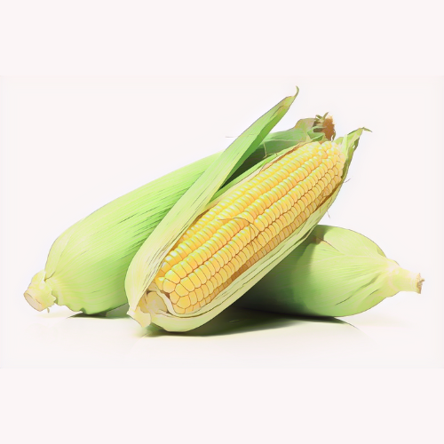 The Hidden Benefits of Maize in Dog Food