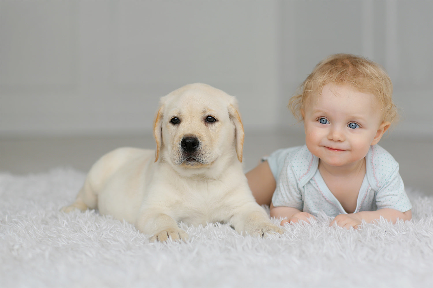 Baby Proofing Your Dog!