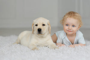 Baby Proofing Your Dog!