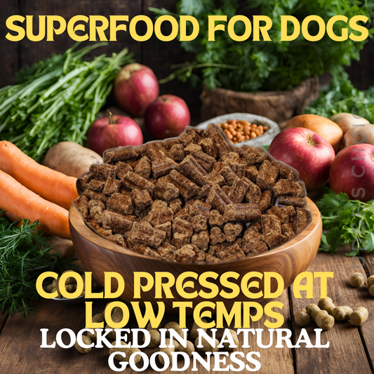 Superfood for dogs