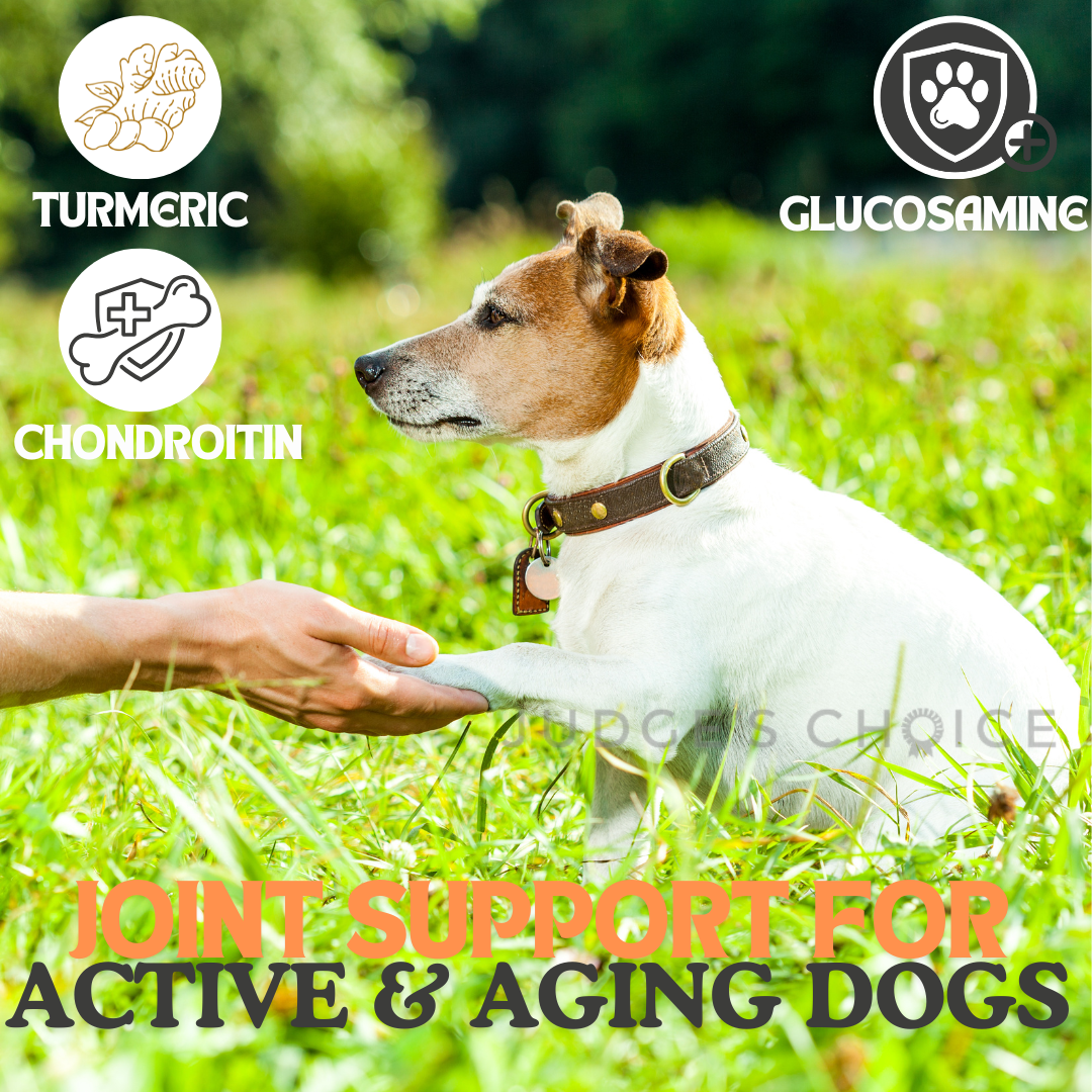 Joint supporting for active & aging dogs