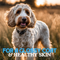 Load image into Gallery viewer, Glossy skin & healthy coat
