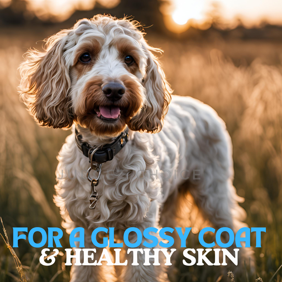 Glossy skin & healthy coat