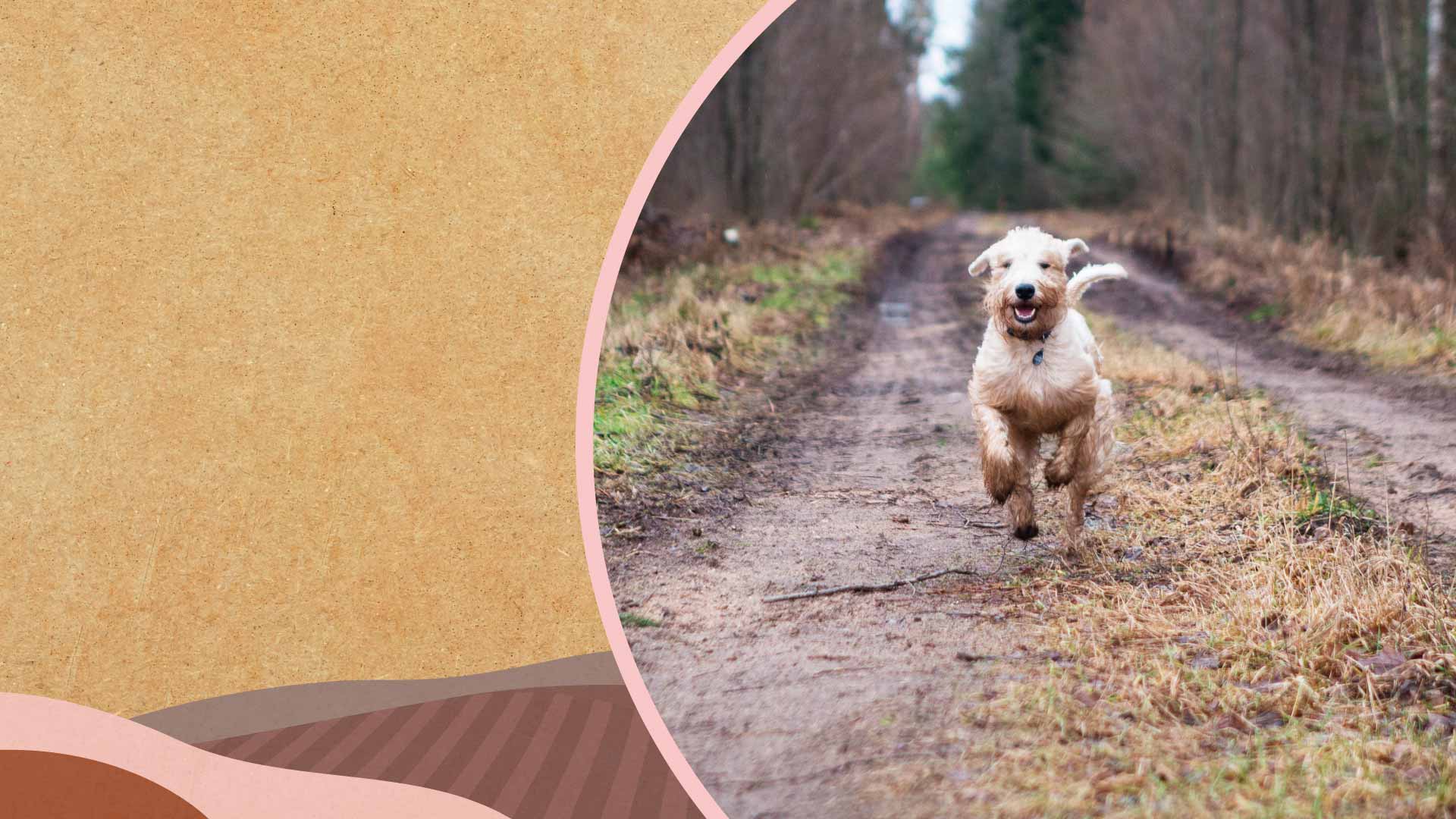 Dog running along a muddy path with textured background below and countryside illustration at the bottom