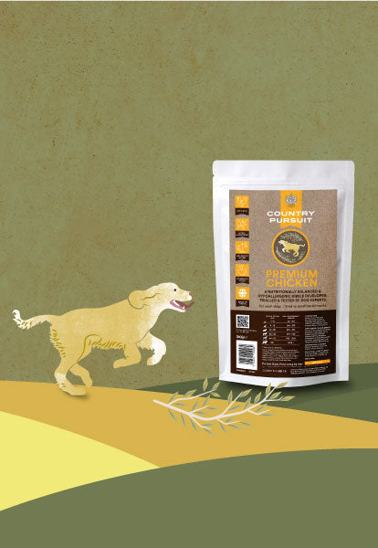 Illustration of running dog looking at Country Pursuit Premium Chicken dog food pack shots