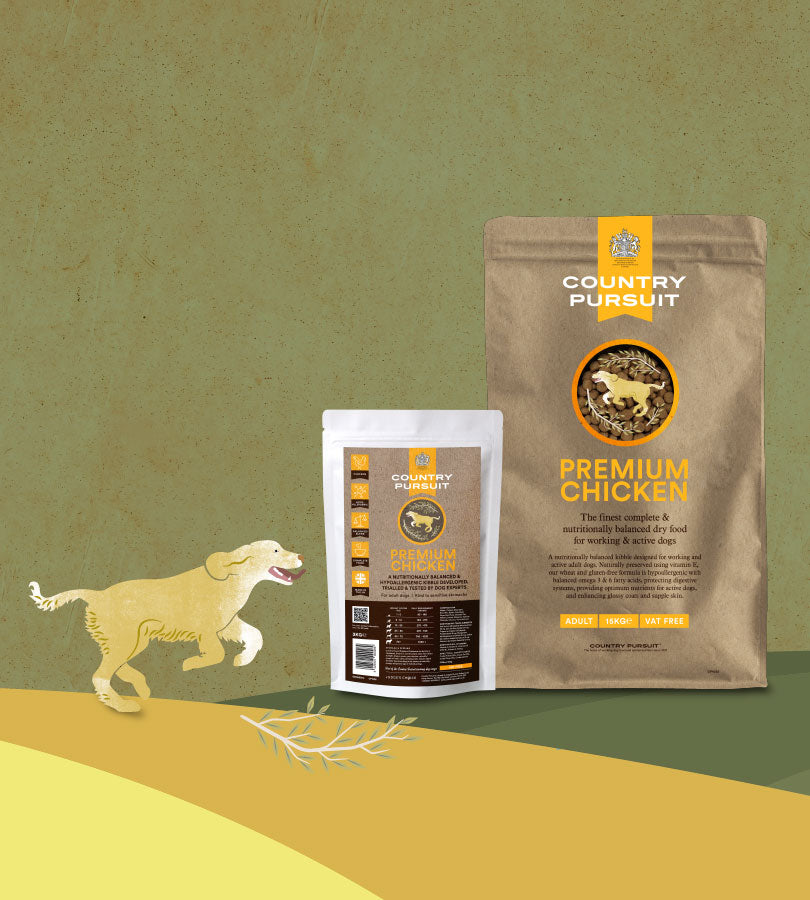 Illustration of running dog looking at Country Pursuit Premium Chicken dog food pack shots