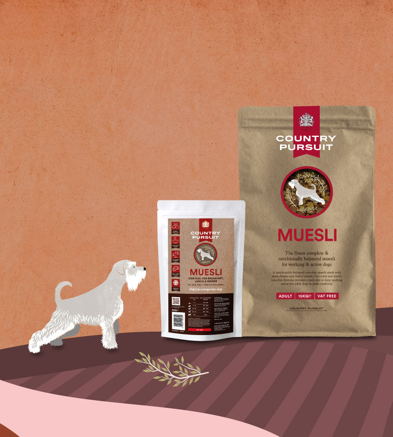 Illustration of a grey dog in countryside scene looking at Country Pursuit Muesli dog food pack shots