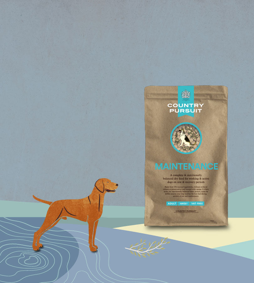 Illustration of dog on a beach looking at Country Pursuit Originals dog food range shot