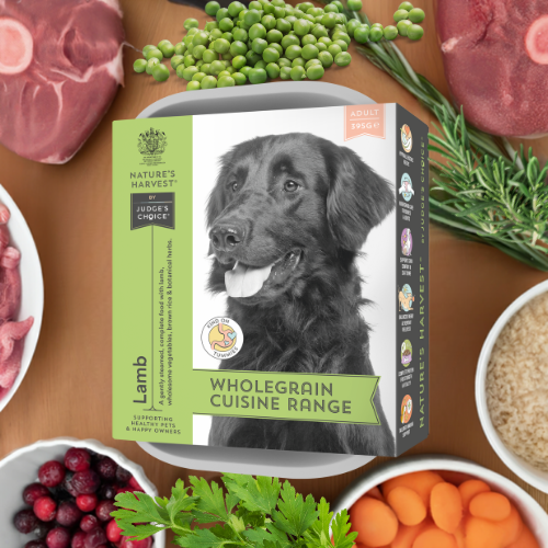 Nature’s Harvest Wet Food Lamb & Veg with Brown Rice - Adult