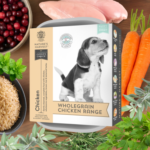 Nature’s Harvest Wet Food Chicken & Veg with Brown Rice - Puppy