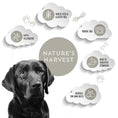 Load image into Gallery viewer, Nature’s Harvest Wheat & Gluten Free Dog Mixer - 3kg
