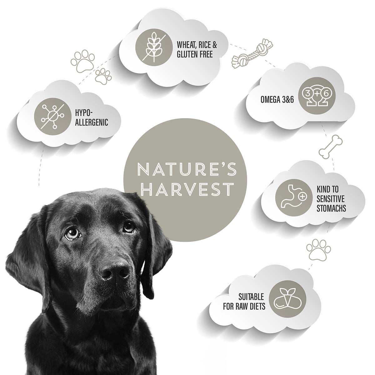 Nature’s Harvest Wheat & Gluten Free Dog Mixer - 3kg