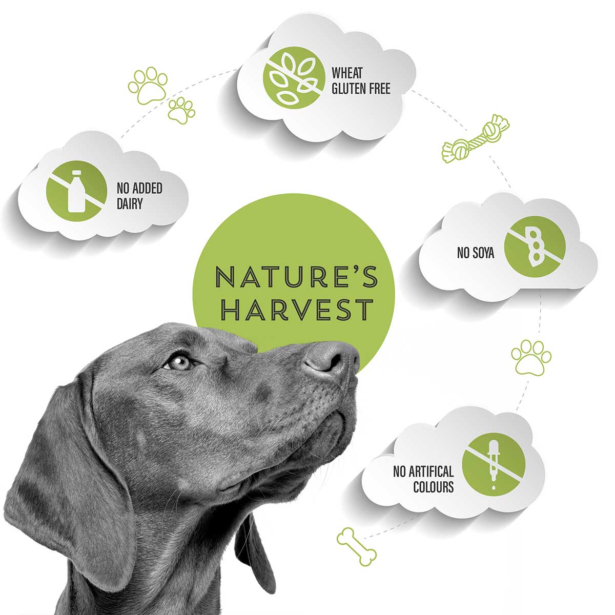 Nature’s Harvest Wet Food Grain Free Lamb & Sweet Potato - Adult