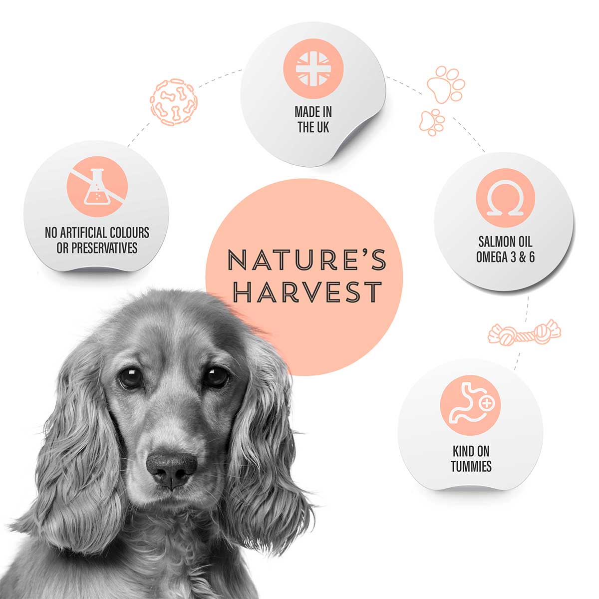 Nature’s Harvest Wet Food Grain Free Salmon & Sweet Potato - Adult