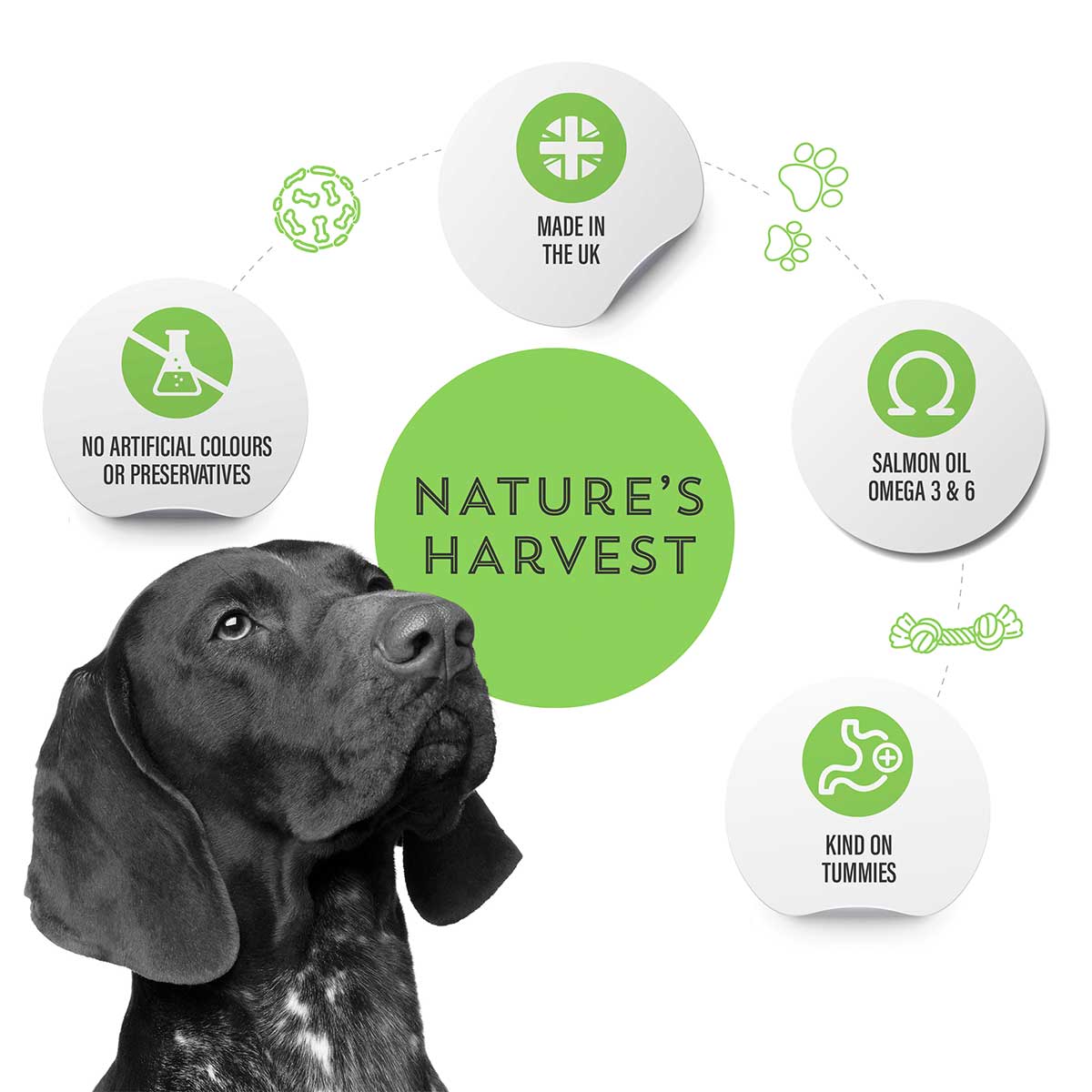 Nature’s Harvest Wet Food Lamb & Veg with Brown Rice - Adult