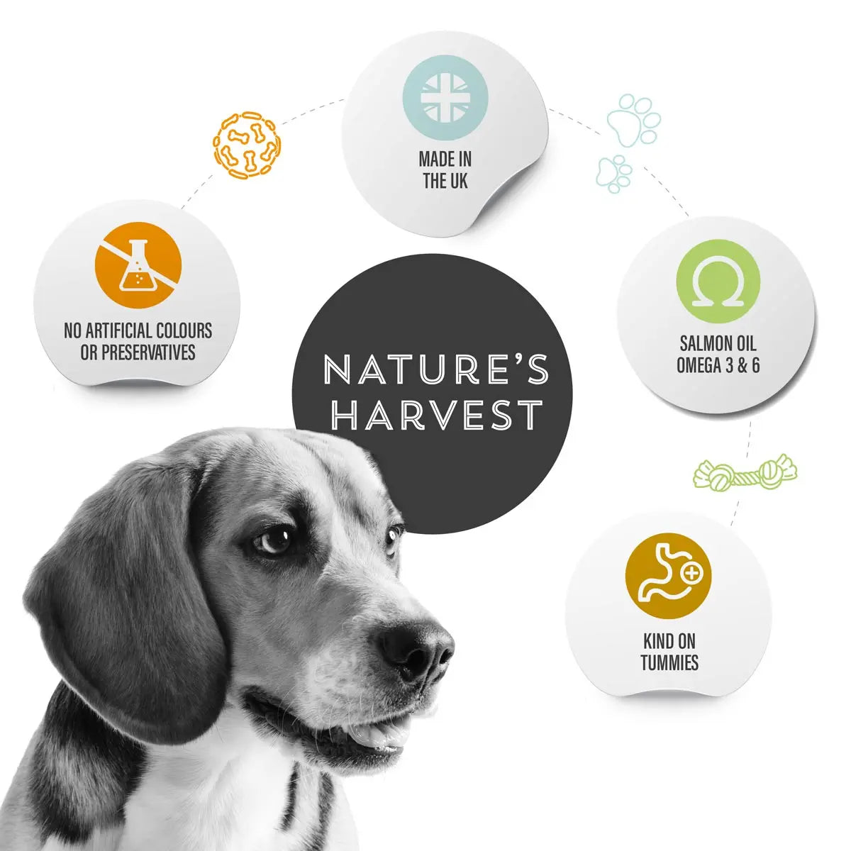 Nature’s Harvest Wet Food Variety Pack - Adult