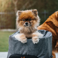 Load image into Gallery viewer, NufNuf Pet Carrier Back Bag - Light Grey

