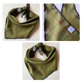 Load image into Gallery viewer, Judge's Choice Dog Bandana
