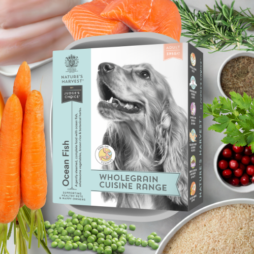 Nature’s Harvest Wet Food Salmon, White Fish & Veg with Brown Rice - Adult