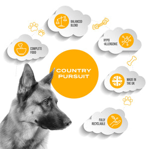 Country Pursuit premium range dog food key selling points. Illustration of clouds around a logo circle with an Alsatian looking at the points. Point 1, Complete Food. Point 2, Balanced Blend. Point 3, Hypoallergenic. Point 4, Made in the UK. Point 5, Fully Recyclable.
