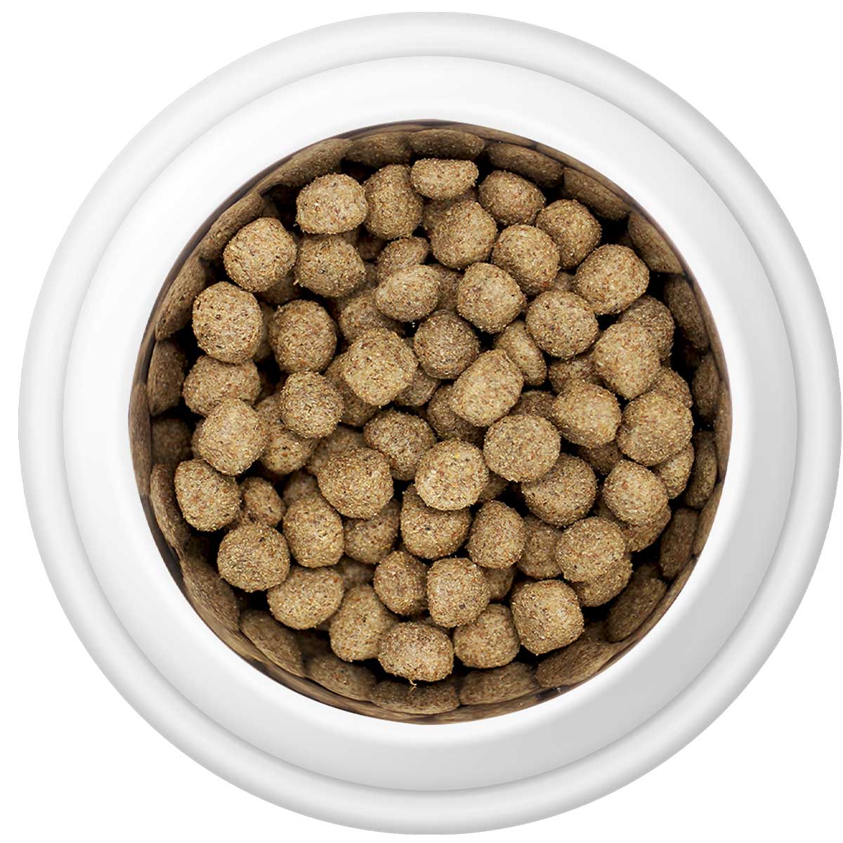 Country Pursuit Maintenance dog food in a bowl