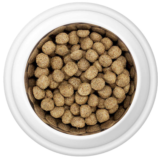 Country Pursuit Maintenance dog food in a bowl