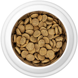 Country Pursuit Premium Chicken dog food in a bowl