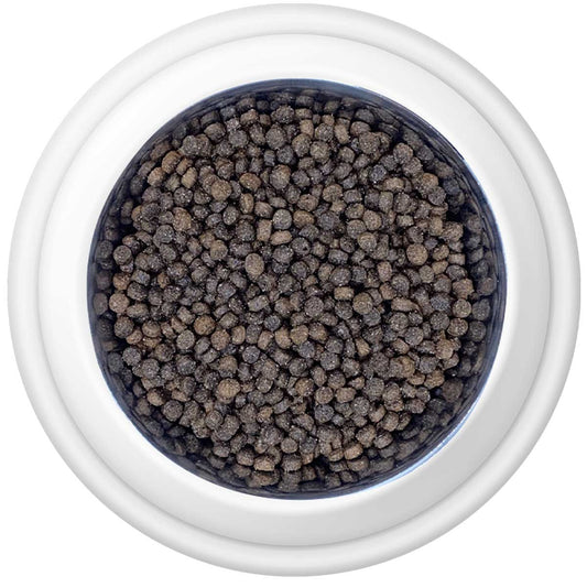 Country Pursuit Premium Puppy Food in a bowl