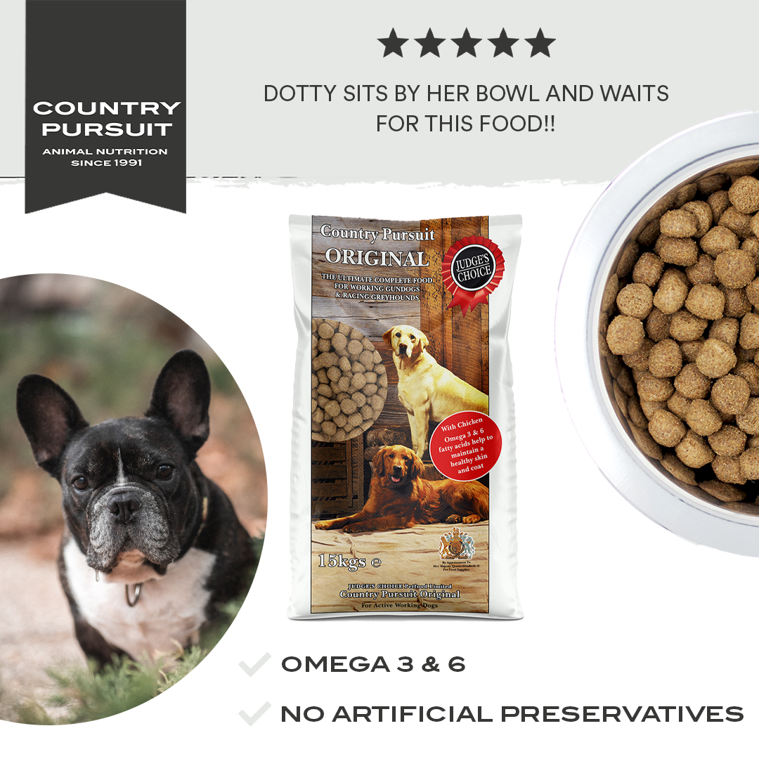 Country Pursuit Original testimonial: Dotty sits by her bowl and waits for this food!