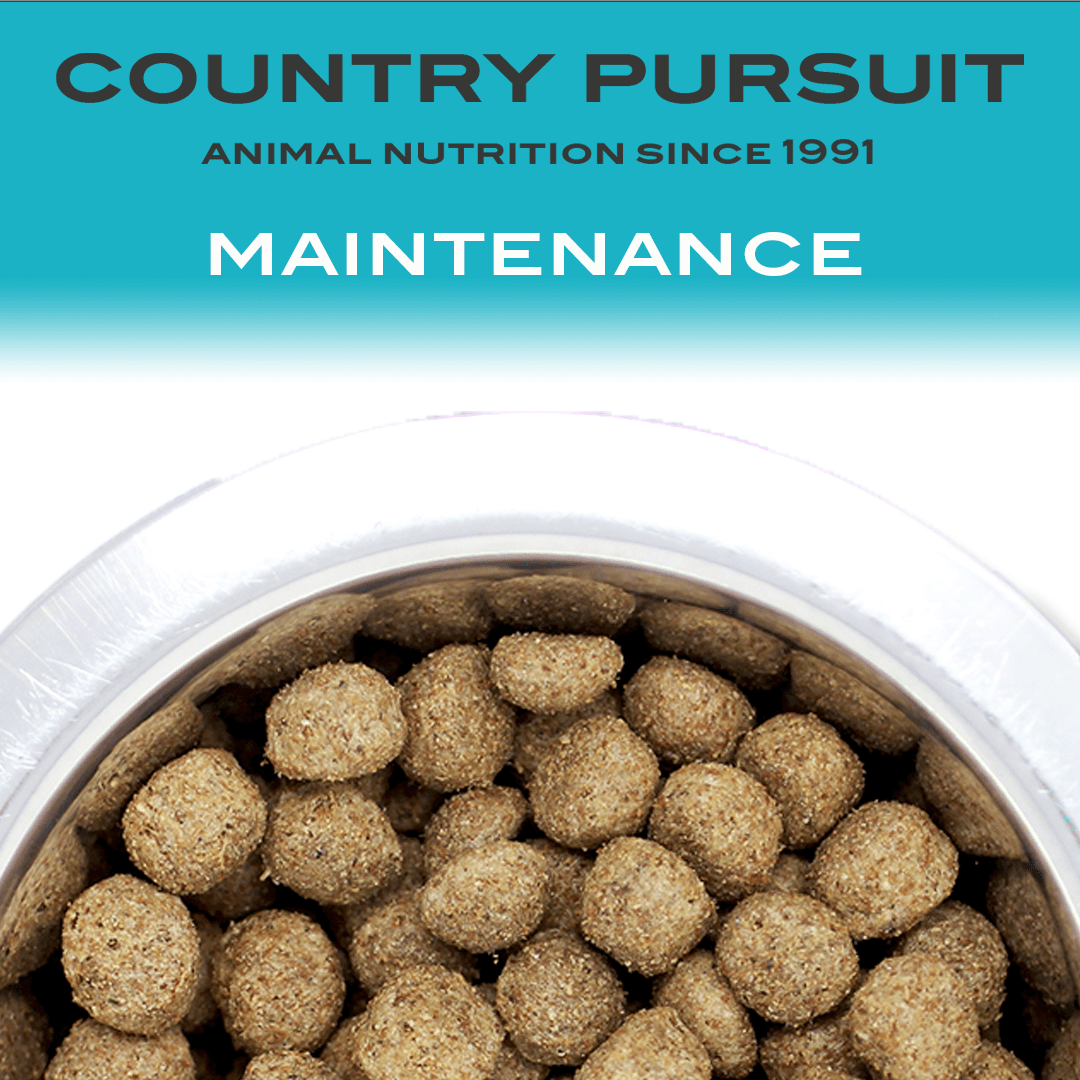 Country Pursuit Maintenance in bowl